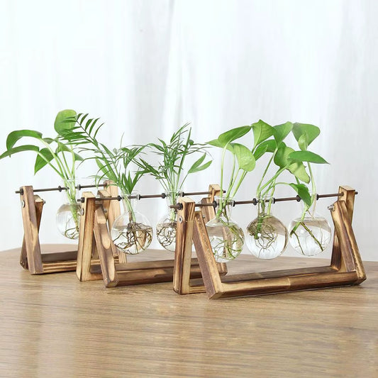 Hydroponic Plant Vases Glass Vase Vintage Bonsai Flower Pot Terrarium Tabletop Tray Wooden Frame Home Decor